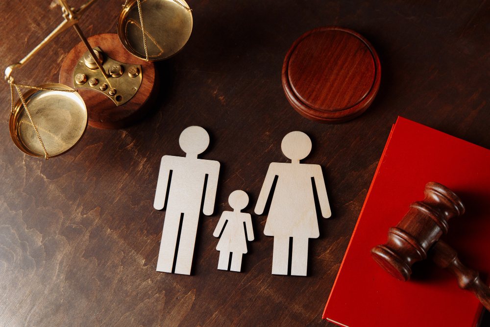 Medidas Cautelares en Procesos Familiares: Una Guía Esencial